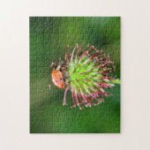 花の上のてんとう虫 ジグソーパズル (縦)