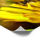 花の上のミツバチ ポスター (角)