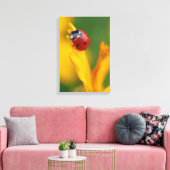 花の上の小さな婦人 キャンバスプリント (インサイチュ (リビング))