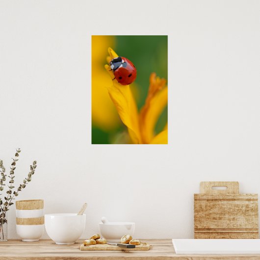 花の上の小さな婦人 ポスター (キッチン)