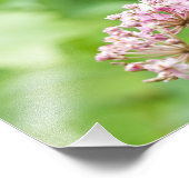 花の上の蝶 フォトプリント            (角)