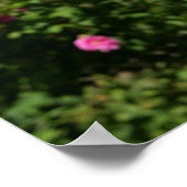 花の中でボクサーの犬 ポスター (角)