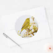 花の中のオレンジ色の冠のついたさくらんぼ ラウンドシール (封筒)