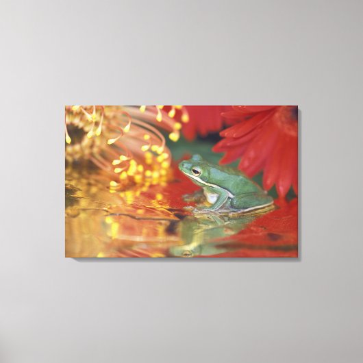 花の中のカエルとその反射 Credit as: キャンバスプリント (正面)