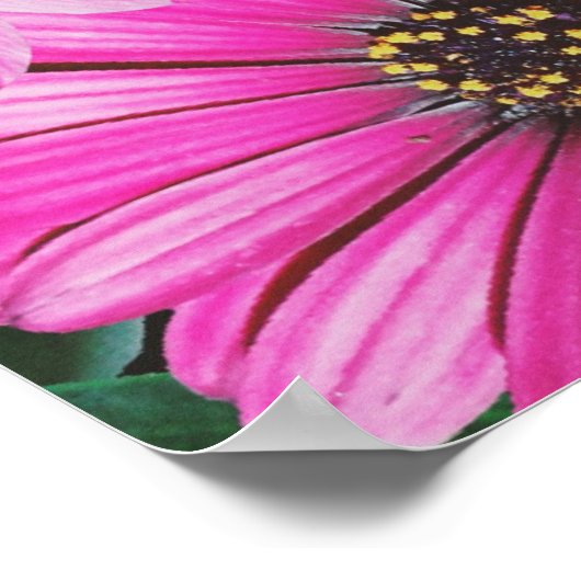 花の中の猫 ポスター (角)