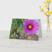 花の中の銀河系 カード (黄色い花)