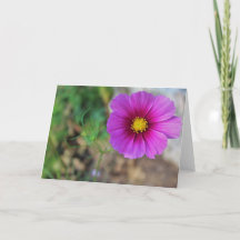 花の中の銀河系