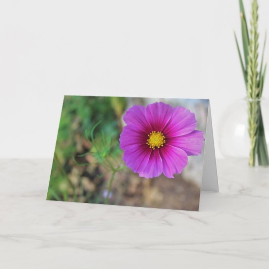 花の中の銀河系 カード (正面)