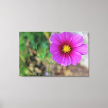 花の中の銀河系