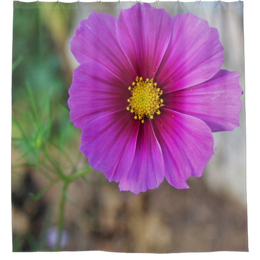 花の中の銀河系 シャワーカーテン (正面)