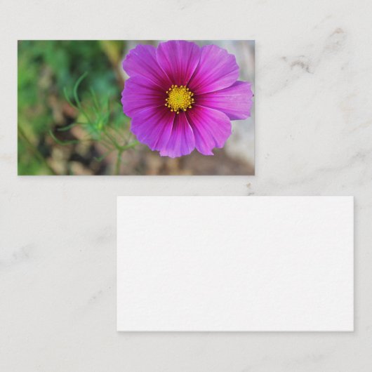 花の中の銀河系 名刺 (正面/裏面)