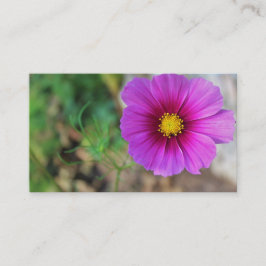 花の中の銀河系 名刺