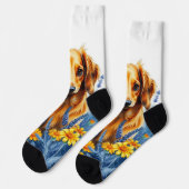 花の中の長毛のダシュント ソックス (左)