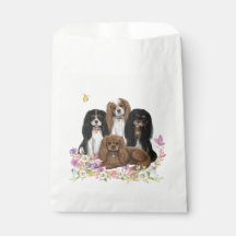 花の中の4つのカバリエールキングチャールズスパニエル犬