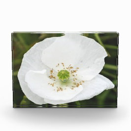 花の付いたフォトブロック フォトブロック