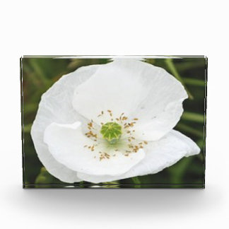 花の付いたフォトブロック フォトブロック