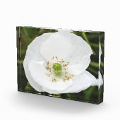 花の付いたフォトブロック フォトブロック (右)