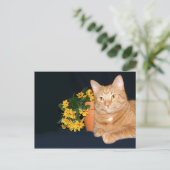花の付いた猫 ポストカード (スタンド正面)