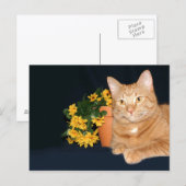 花の付いた猫 ポストカード (正面/裏面)