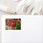 花の住所 シール (インサイチュ)