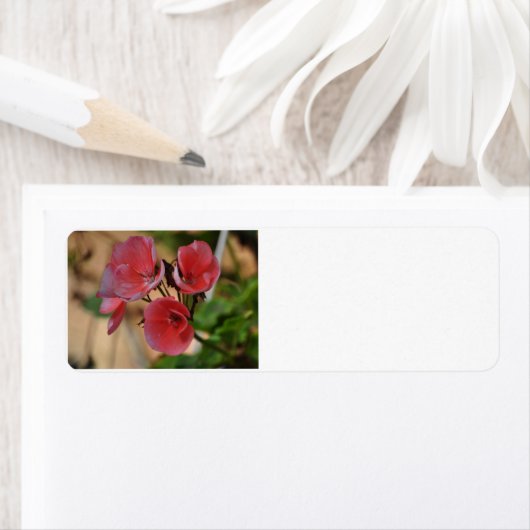 花の住所 シール (インサイチュ)