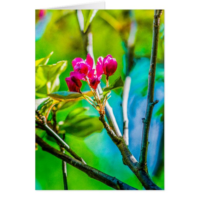 花の内側 (正面)