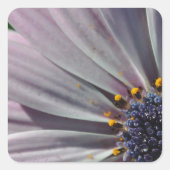 花の内側 スクエアシール (正面)