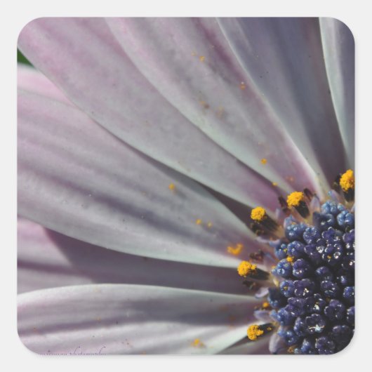 花の内側 スクエアシール (正面)