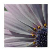 花の内側 タイル (正面)