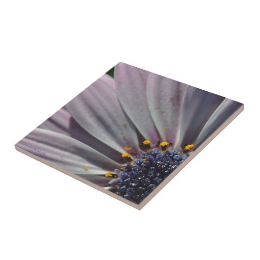 花の内側 タイル (側面)