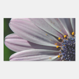 花の内側 長方形シール