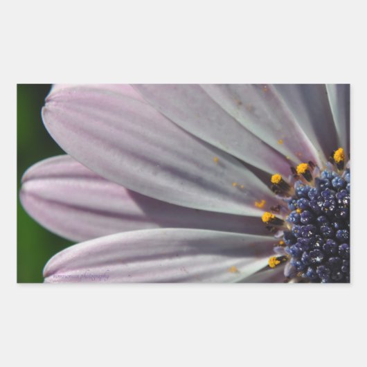 花の内側 長方形シール (正面)