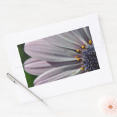 花の内側 長方形シール (封筒)