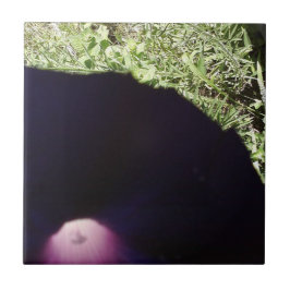 花の写真のセラミックタイル タイル