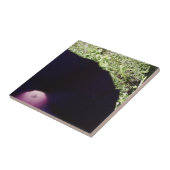 花の写真のセラミックタイル タイル (側面)