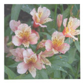 花の写真の立方体 フォトキューブ (右)