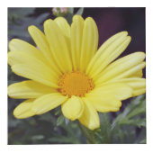 花の写真の立方体 フォトキューブ (正面)