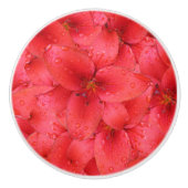 花の写真の赤い庭ユリ セラミックノブ (正面)