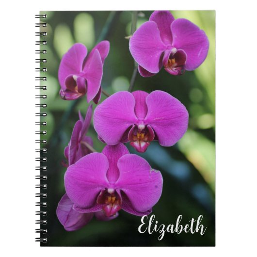 花の写真エレガントパープルオーキッドカスタム ノートブック (正面)