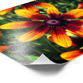 花の写真コダックプロフェッショナル フォトプリント            (角)