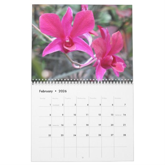 花の写真予定表 カレンダー (2月 2026)