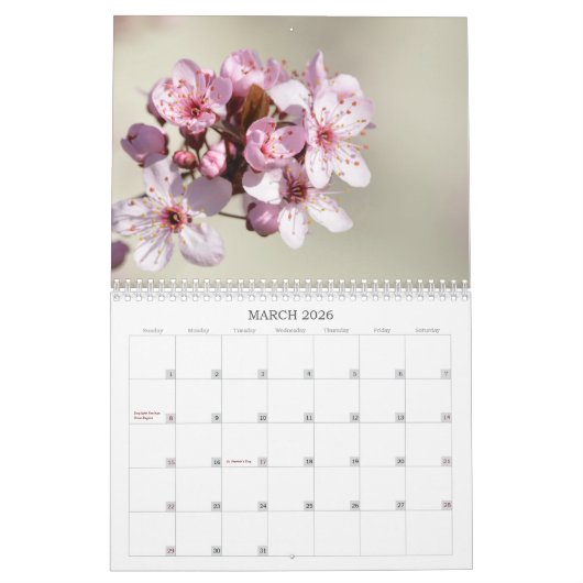 花の写真 カレンダー (3月 2026)