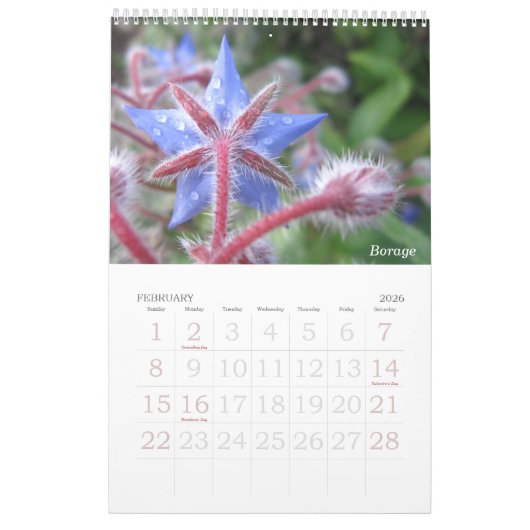 花の写真 カレンダー (2月 2026)