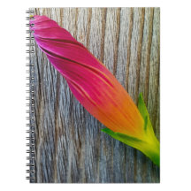 "花の写真