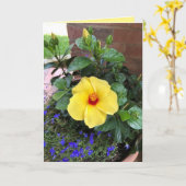 「花の写真」ブランク グリーティング カード (黄色い花)