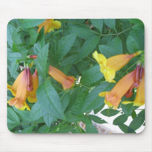 花の写真 マウスパッド (正面)