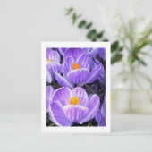 花の写真「紫の花05」 ポストカード (スタンド正面)
