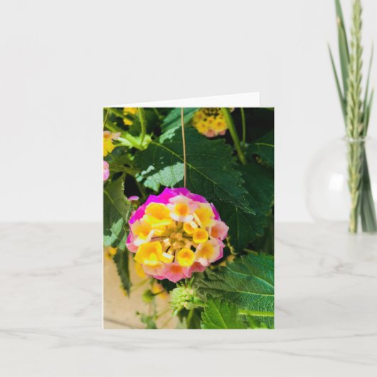 花の写真（黄色とピンク） カード (正面)