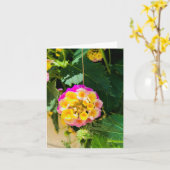 花の写真（黄色とピンク） カード (黄色い花)