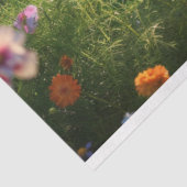 花の分野が切り離される 薄葉紙 (詳細)